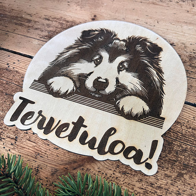 Collie ovikyltti - Image 3